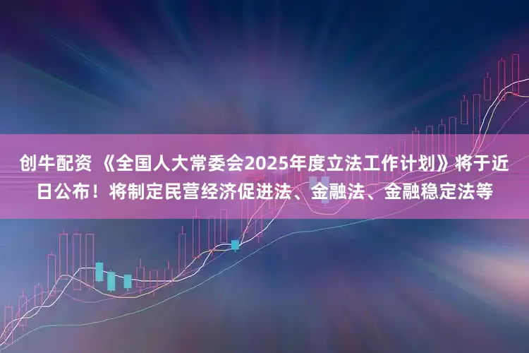 创牛配资 《全国人大常委会2025年度立法工作计划》将于近日公布！将制定民营经济促进法、金融法、金融稳定法等