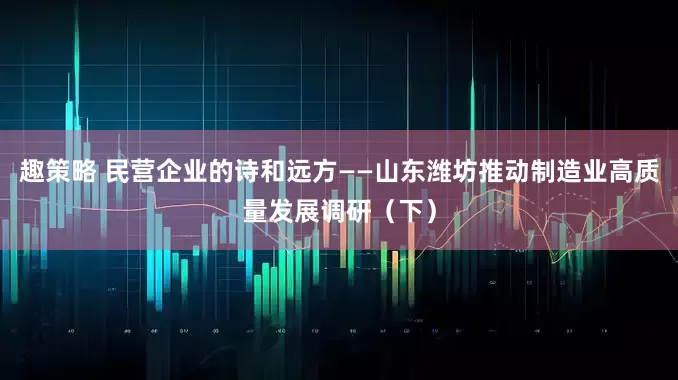 趣策略 民营企业的诗和远方——山东潍坊推动制造业高质量发展调研（下）
