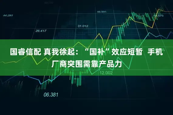 国睿信配 真我徐起：“国补”效应短暂  手机厂商突围需靠产品力